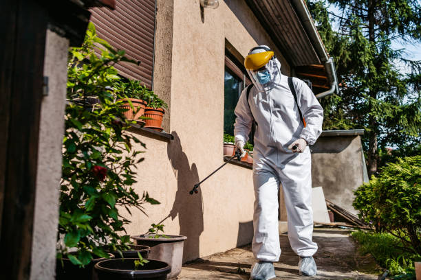 Best Bed Bug Extermination  in West Modesto, CA