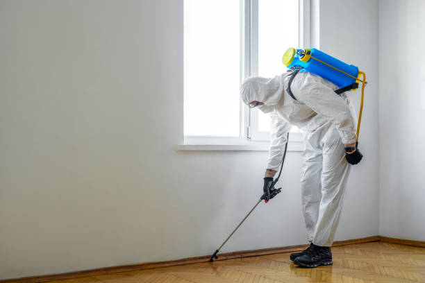  West Modesto, CA Pest Control Pros