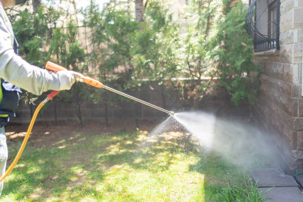 Best Wasp Removal Services  in West Modesto, CA