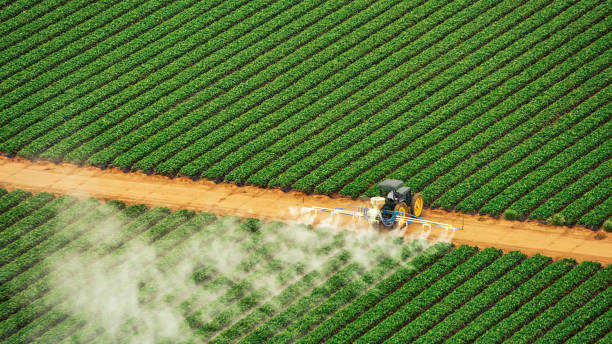 Insect Control in West Modesto, CA