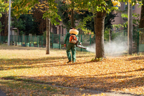 Best Pest Control Treatment  in West Modesto, CA