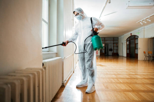 Best Local Pest Control Services  in West Modesto, CA